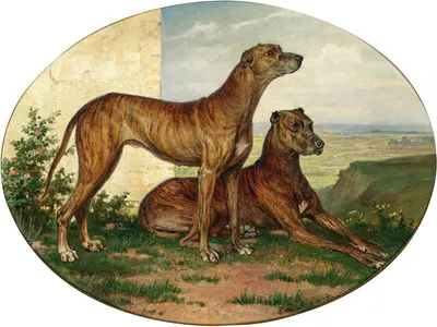 Two Great Danes in a Vast Landscape by Carl Reichert, 1869 — digital art print download
