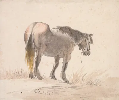Horse Standing on a Mound by Cornelis Saftleven, 1655 — digital art print download