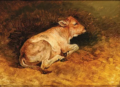 A Reclining Calf by Фридрих Гаурманн — digital art print download