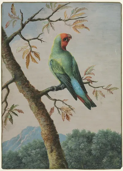Rosy Faced Love Bird by George Edwards — digital art print download