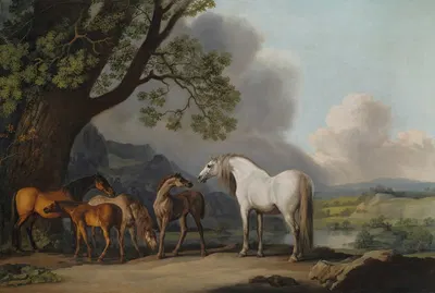 Mares and Foals in an extensive landscape by George Stubbs — digital art print download