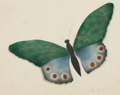 Butterfly by Mary Altha Nims — digital art print download