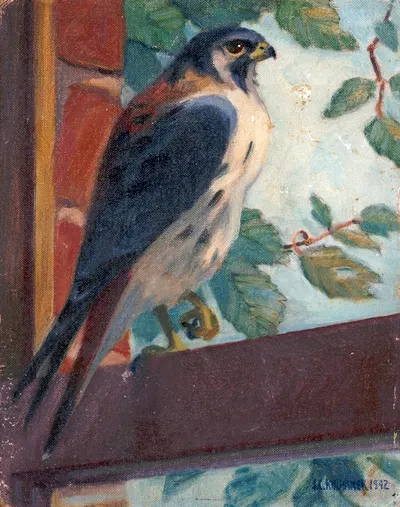 American Kestrel by Джеймс С. Кулханек, 1942 — digital art print download