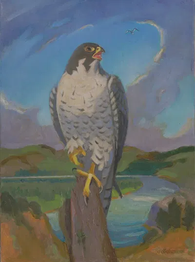 Falco Peregrinus by James C. Kulhanek, 1961 — digital art print download