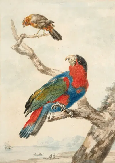 A parrot and another bird on a branch near a littoral by Абрахам Мертенс — digital art print download