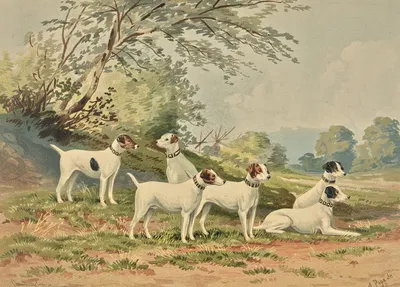 Six Jack Russell Terriers by Alexander Pope Jr., 1880 — digital art print download