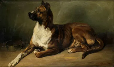 Porträt eines Hundes by Benno Adam, 1852 — digital art print download