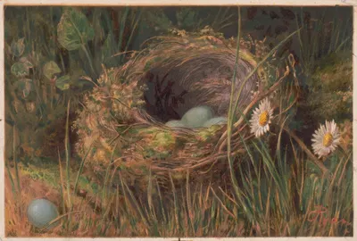 The Hedge sparrows mansion by C. Ryan, 1873 — digital art print download