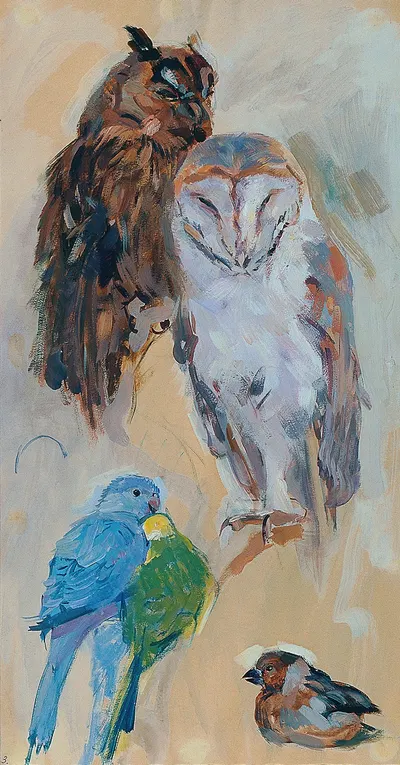 Tierstudie aus Schönbrunn Vögel by Карл Фарингер, 1913-1914 — digital art print download