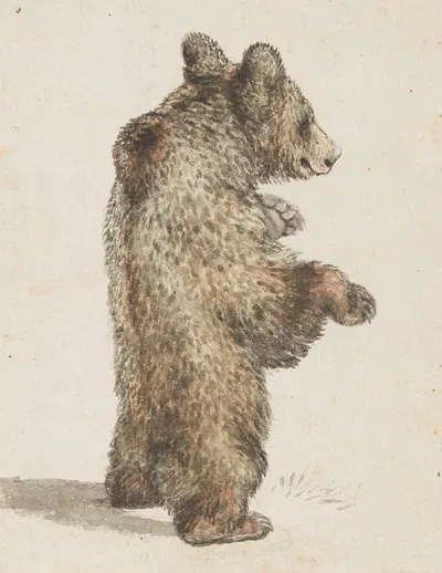 Stehender Bär by Готфрид Минд — digital art print download