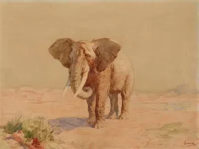 Eléphant by Gustave Surand — digital art print download