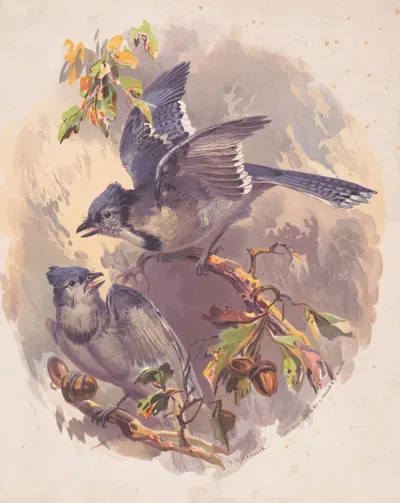 Blue Jays by Генри Уокер Херрик, 1875 — digital art print download