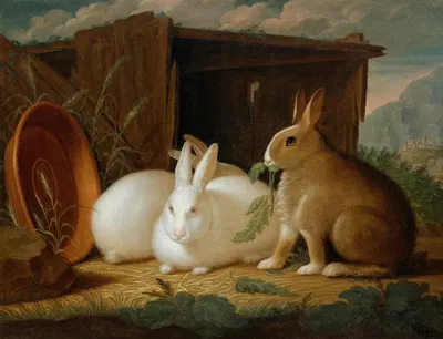 Three rabbits in a landscape by Johann Wenzel Peter — digital art print download