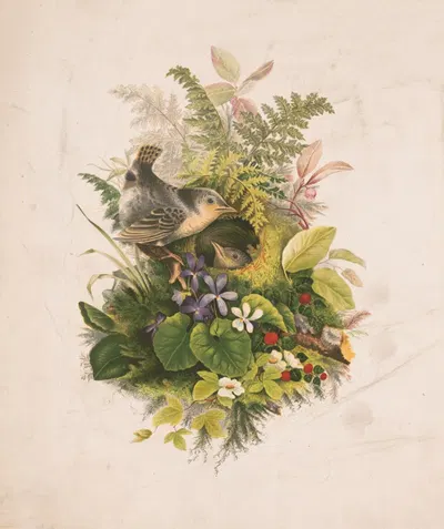Wren's nest and ferns by Olive E Whitney, 1874 — digital art print download