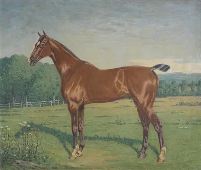 Tableau représentant un cheval by Paul Lemore — digital art print download