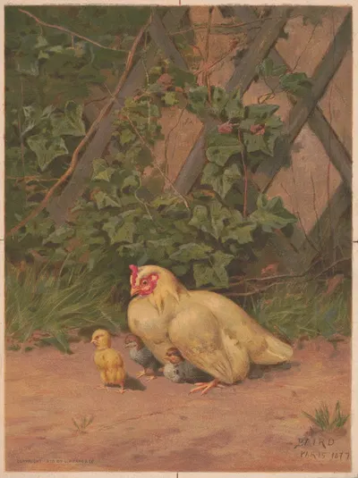 Chickens by Уильям Баптист Бэрд, 1879 — digital art print download
