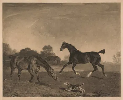 Hunters at Grass; The Property of John Micklethwait Esq. by Benjamin Marshall, 1812 — digital art print download