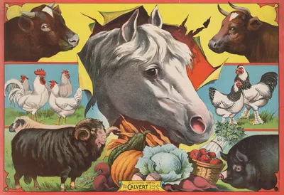 Horse head with farm animals and produce by Кэлверт Литографическая Компания, 1898 — digital art print download