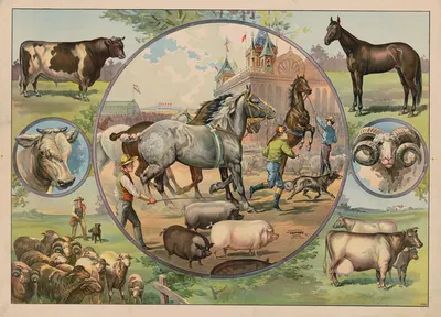 Horses and jockeys at the fair by Кэлверт Литографическая Компания, 1891 — digital art print download