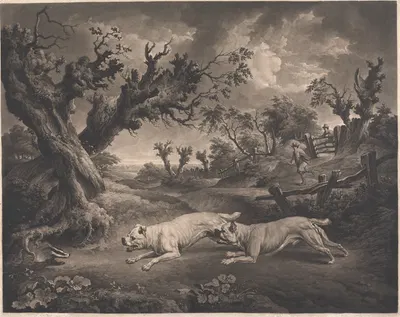 Bull Dogs and Badgers by Charles Towne, 1807 — digital art print download