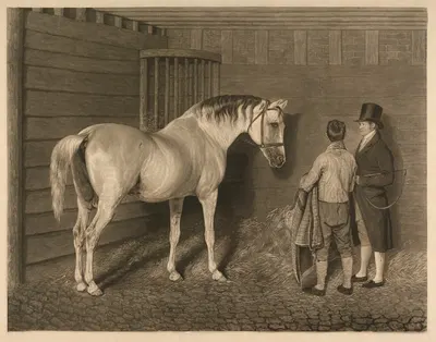 The Wellesley Arabian by Жак-Лоран Агаз — digital art print download