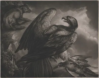 An eagle with a dead pheasant, watched by a fox by Джеймс Норткот, 1799 — digital art print download