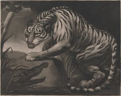 Tiger and Crocodile by Джеймс Норткот, 1799 — digital art print download