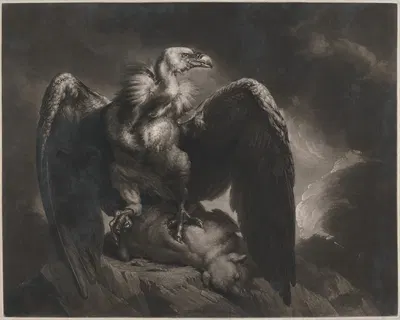 Vulture and Lamb by James Northcote, 1799 — digital art print download