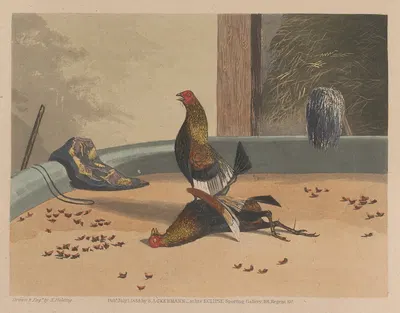 Death by Newton Limbird Smith Fielding, 1853 — digital art print download