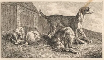 Three Dogs by Samuel Howitt — digital art print download
