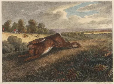 Hare Running by Samuel Howitt, 1812 — digital art print download