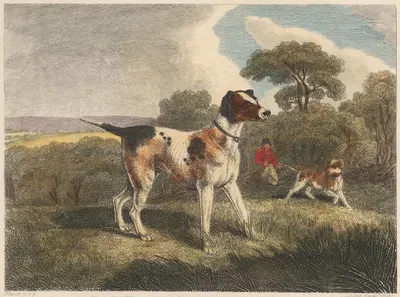 The Pointer by Samuel Howitt, 1812 — digital art print download