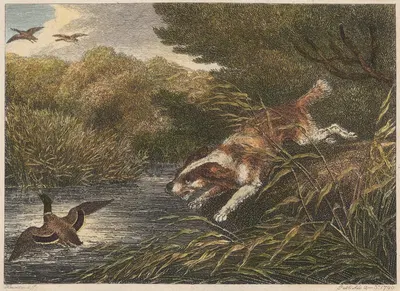The Water Spaniel by Samuel Howitt, 1812 — digital art print download