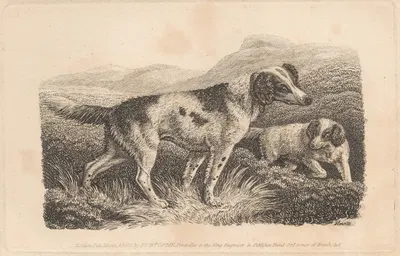 Two Dogs by Samuel Howitt, 1810 — digital art print download
