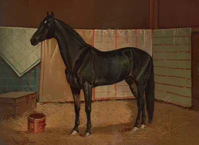 Black Cloud, a horse in stable by Скотт Лейтон, 1882 — digital art print download