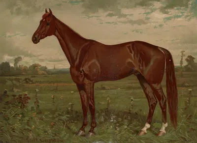 Edwin Thorne by Скотт Лейтон, 1882 — digital art print download