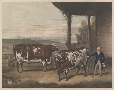 Two Denham Oxen by Томас Уивер, 1828 — digital art print download