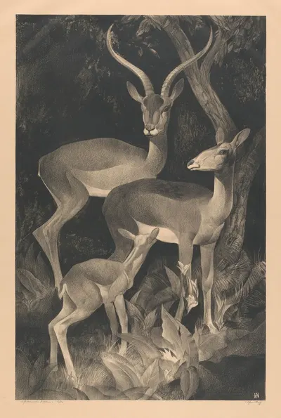 African goats by Адриан Я. ван 'т Хофф, 1903 - 1932 — digital art print download