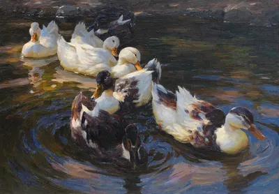 Enten in Morgensonne (Enten in blauem Wasser) by Александр Кёстер, 1904 — digital art print download