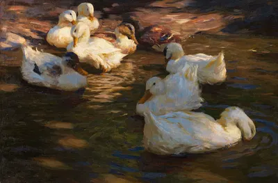 Neun Enten im Abendlicht by Александр Кёстер, 1910 — digital art print download