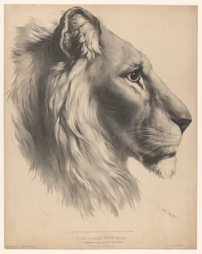 Lion's head, in profile by Эмиль Ласаль — digital art print download