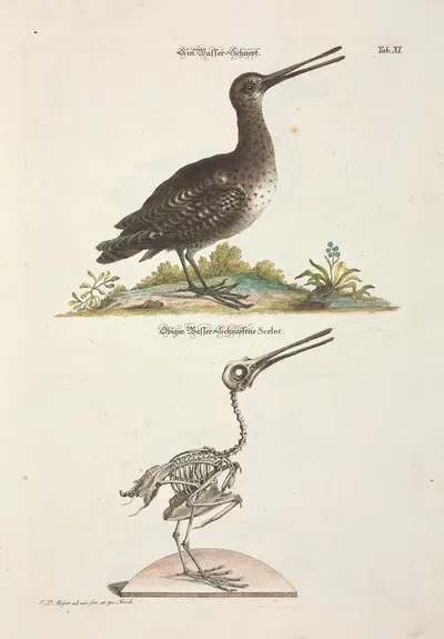 Angenehmer und nützlicher Zeit-Vertreib Pl.011 by Johann Daniel Meyer, 1748 — digital art print download