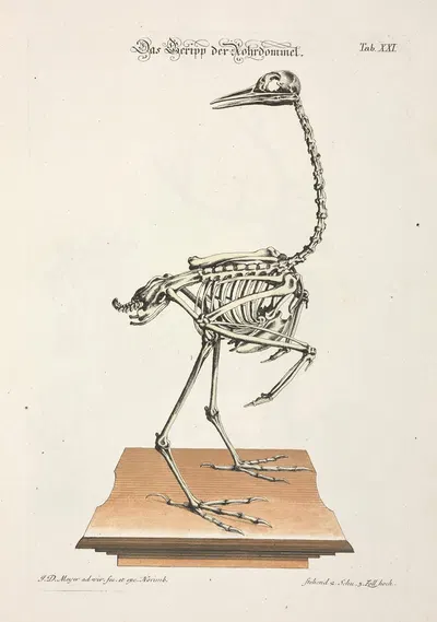 Angenehmer und nützlicher Zeit-Vertreib Pl.021 by Johann Daniel Meyer, 1748 — digital art print download