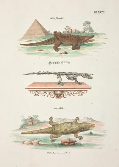 Angenehmer und nützlicher Zeit-Vertreib Pl.058 by Johann Daniel Meyer, 1748 — digital art print download