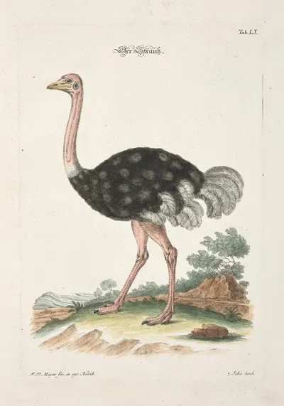 Angenehmer und nützlicher Zeit-Vertreib Pl.060 by Johann Daniel Meyer, 1748 — digital art print download