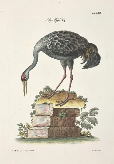 Angenehmer und nützlicher Zeit-Vertreib Pl.064 by Johann Daniel Meyer, 1748 — digital art print download