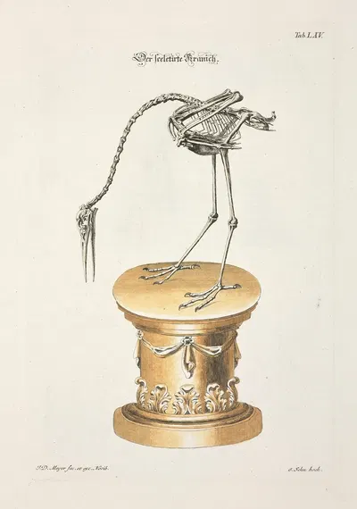Angenehmer und nützlicher Zeit-Vertreib Pl.065 by Johann Daniel Meyer, 1748 — digital art print download