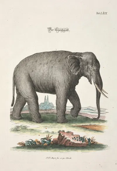 Angenehmer und nützlicher Zeit-Vertreib Pl.069 by Johann Daniel Meyer, 1748 — digital art print download
