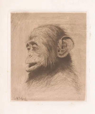 Head of a young chimpanzee by Joseph Schippers, 1894 — digital art print download
