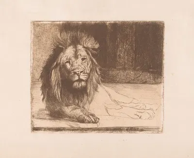Lion by Joseph Schippers, 1894 — digital art print download